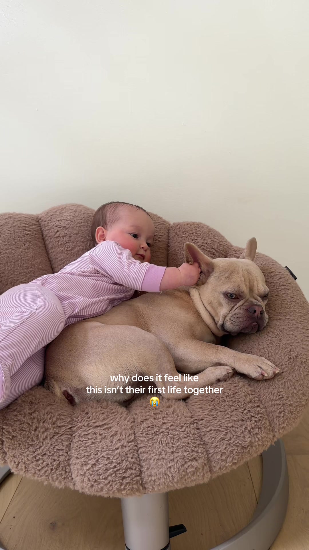 @Winston & Charlie 🐾