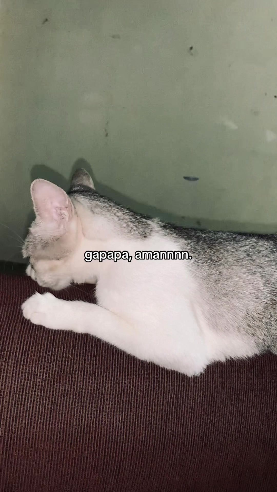 @lapolap