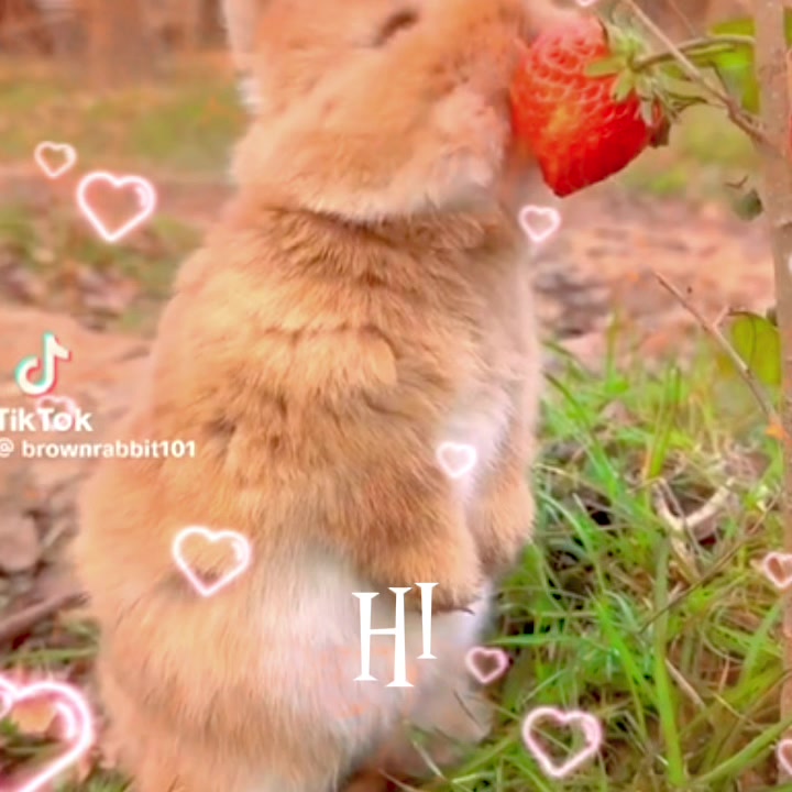 @𝙿𝚑𝚒𝚕𝚘𝚗𝚎𝚌𝚛𝚘𝚗 𐂯 .ᐟ⸝⸝