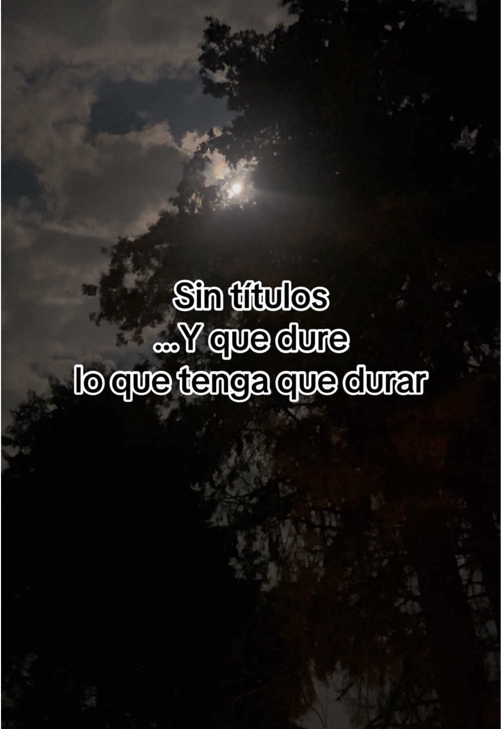 @🌙Mariana De la Noche✨