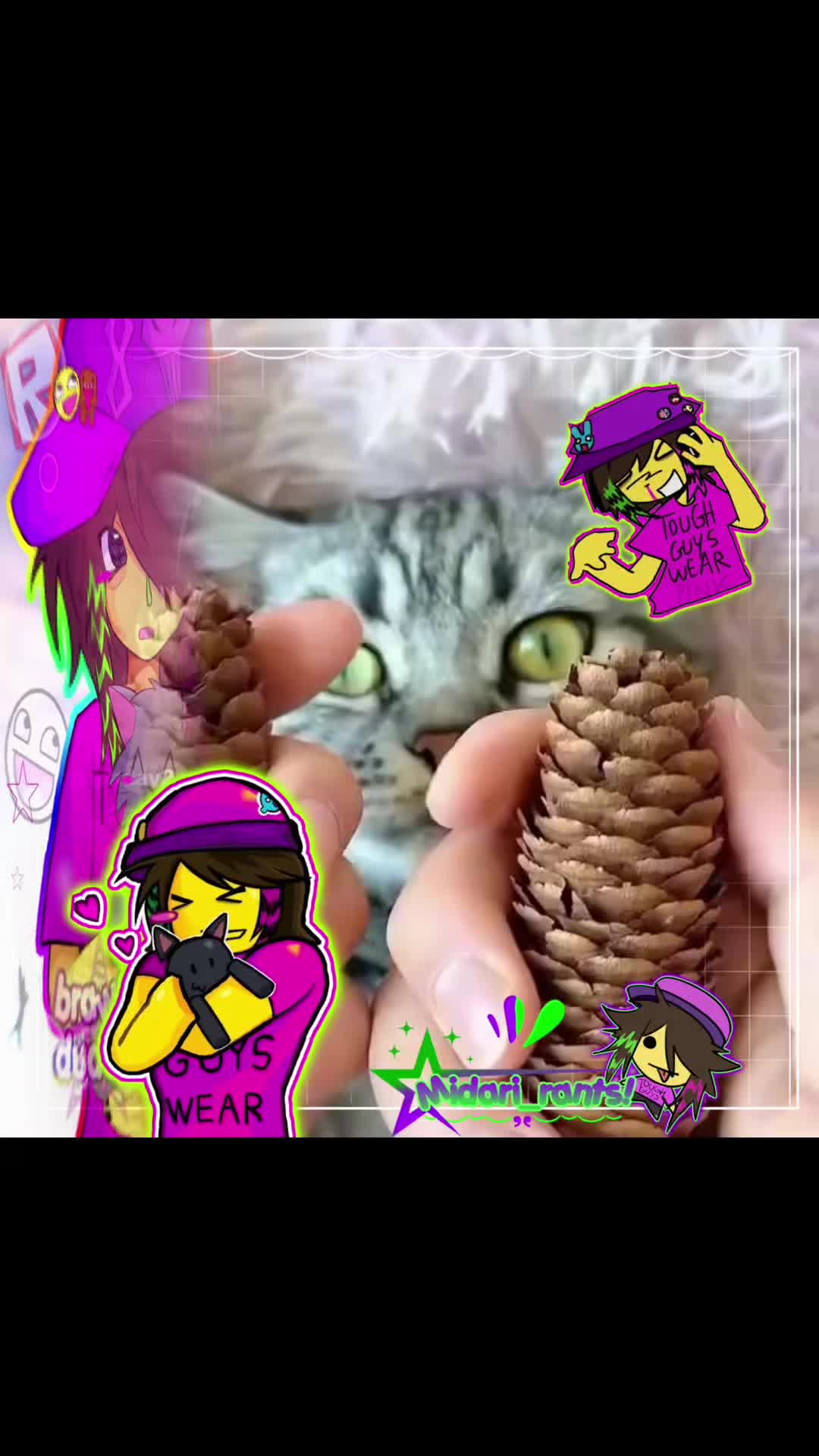 @midari_rants
