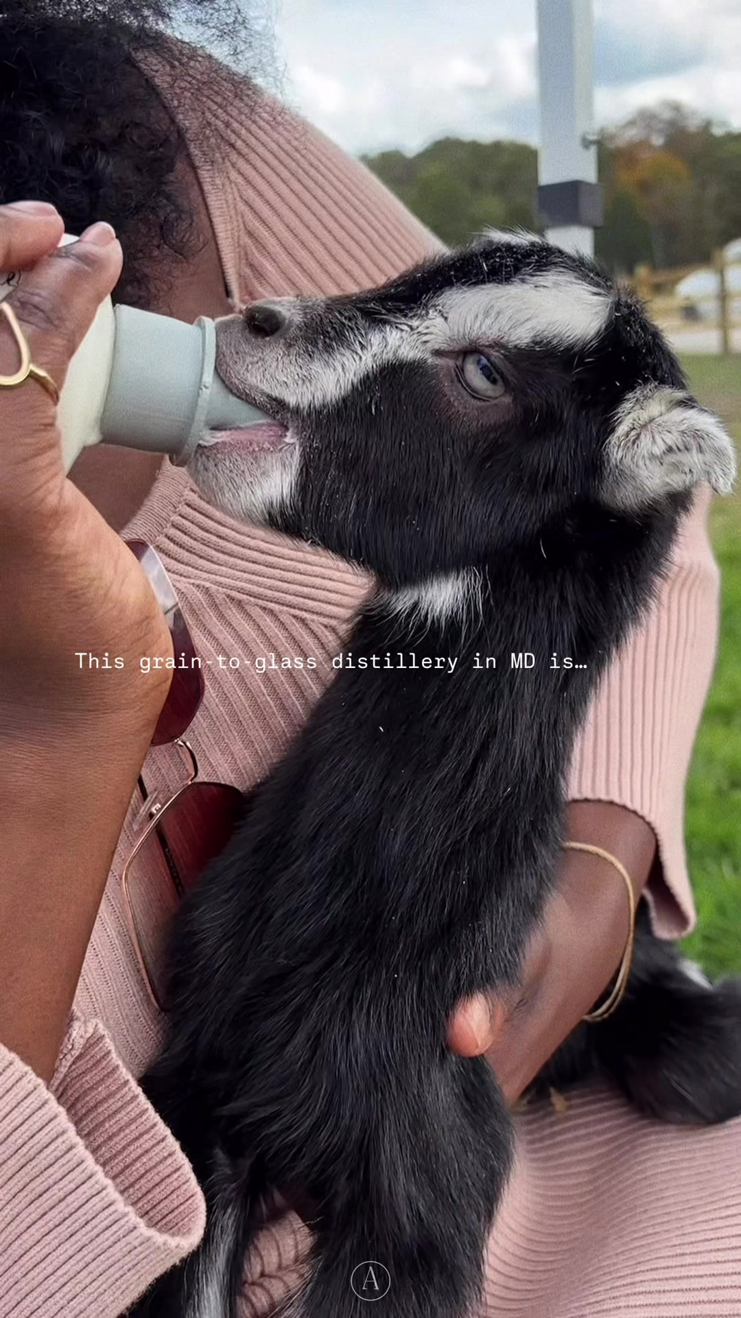 @𝖆𝖉𝖆 &bull; things to do in dc 💌