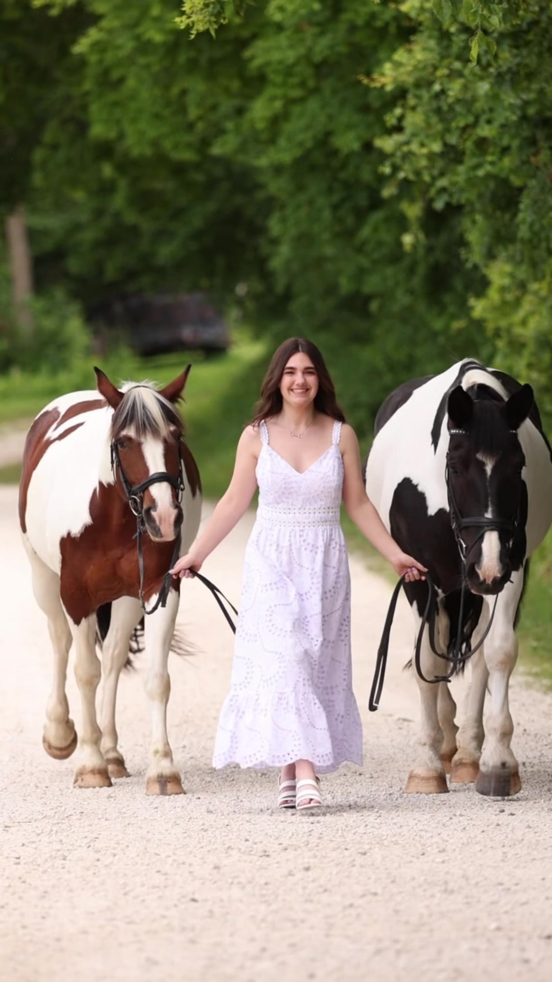 @Aubray | Equine Photographer