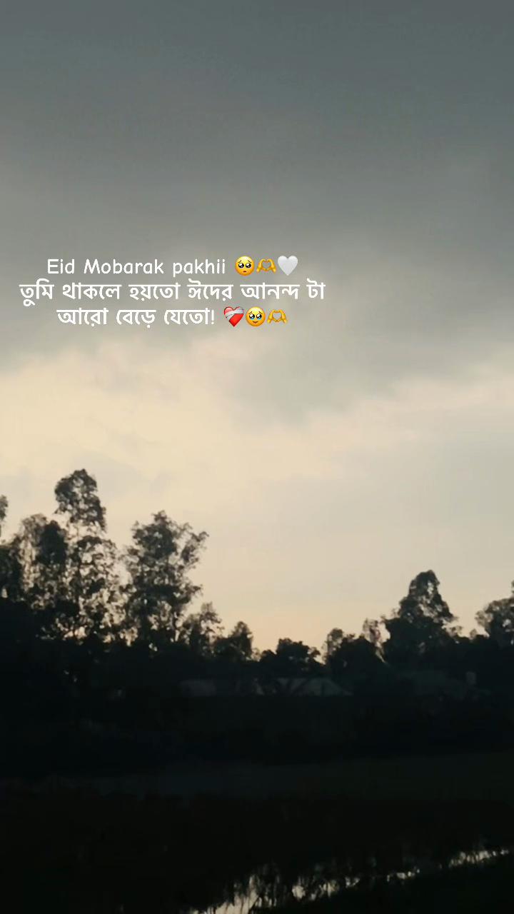 @hridoyahmed5552