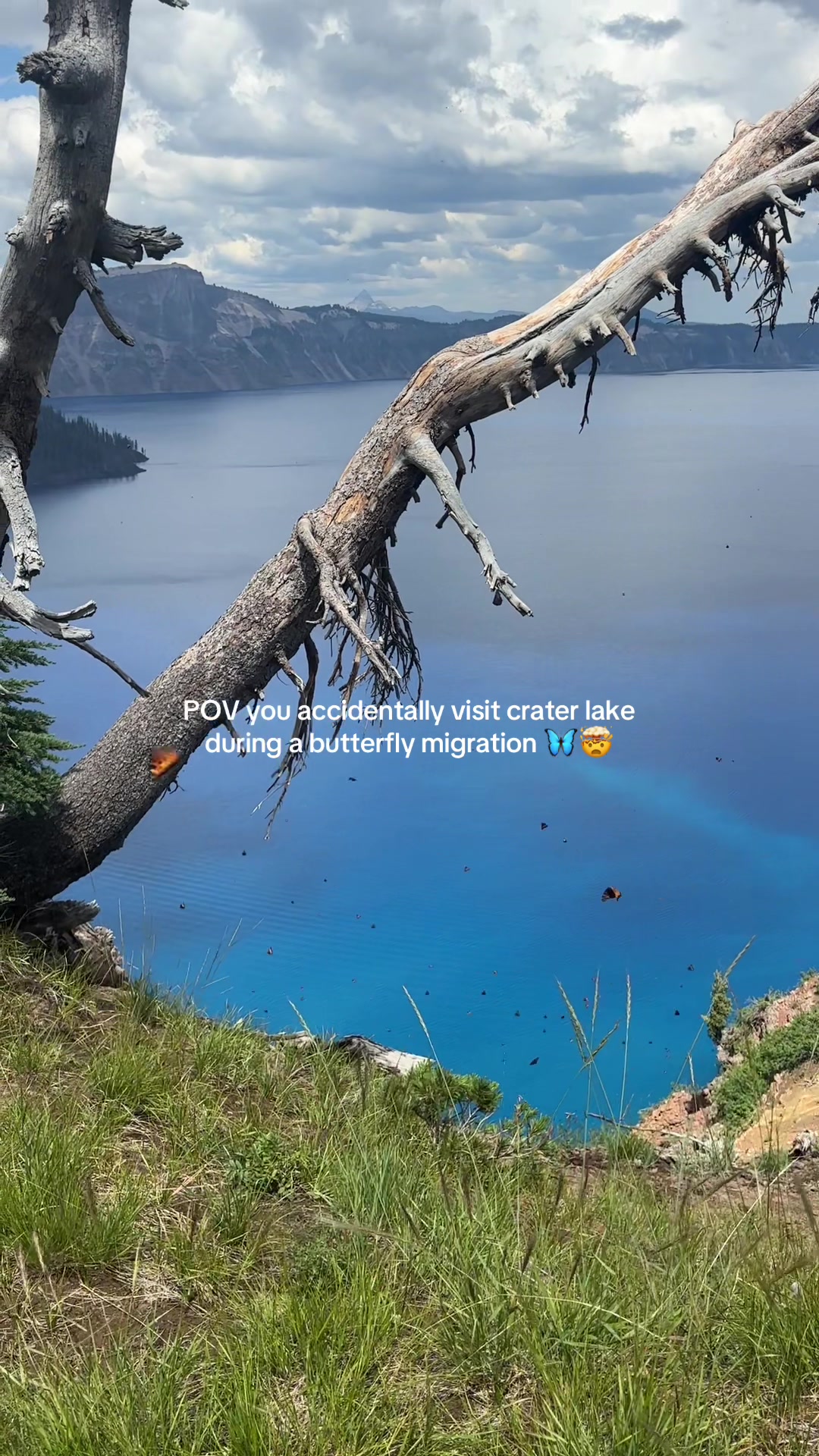 @KatieKComedy