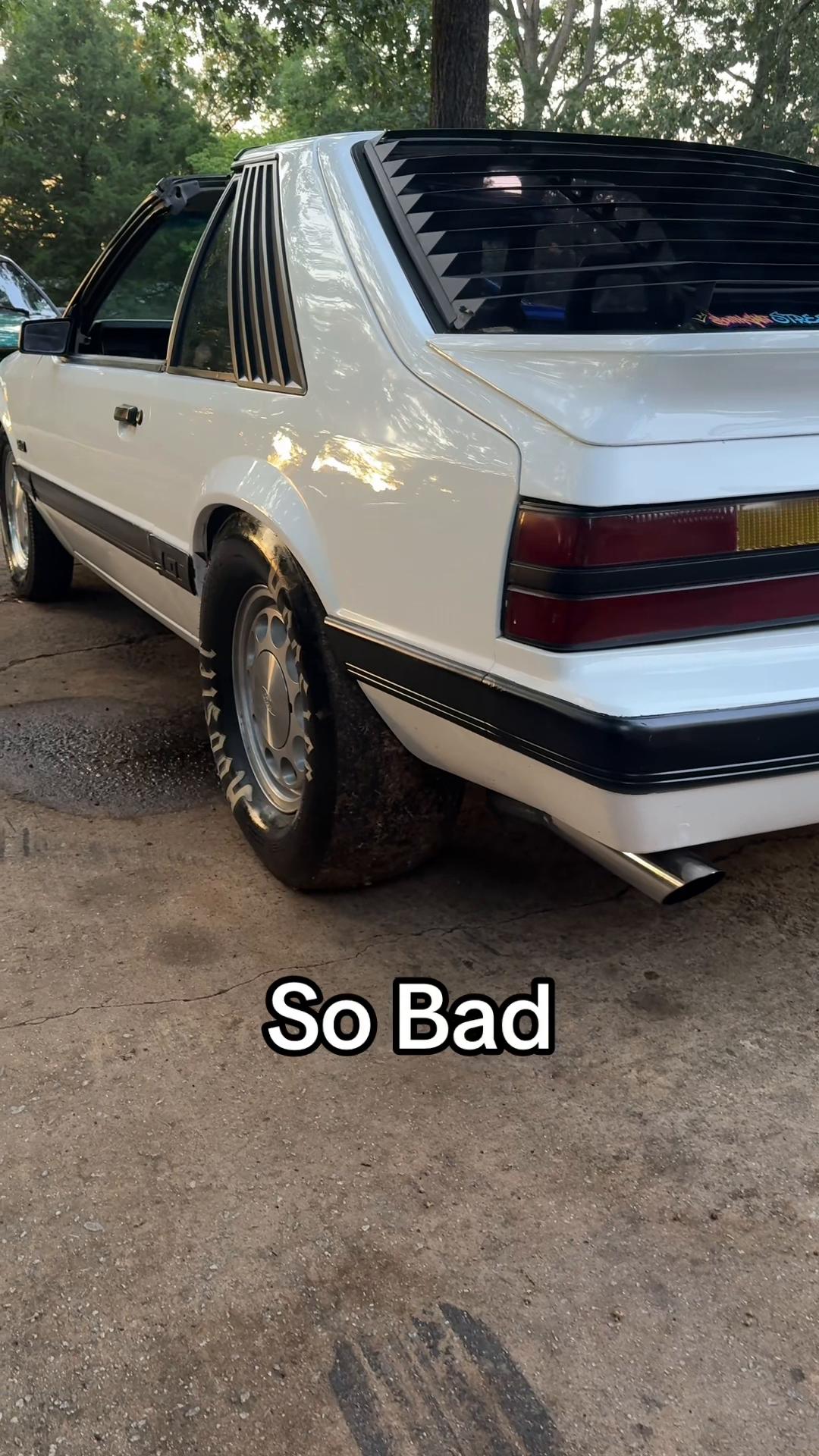 @The_FoxLodge