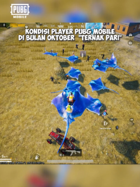 @PUBGMOBILEID