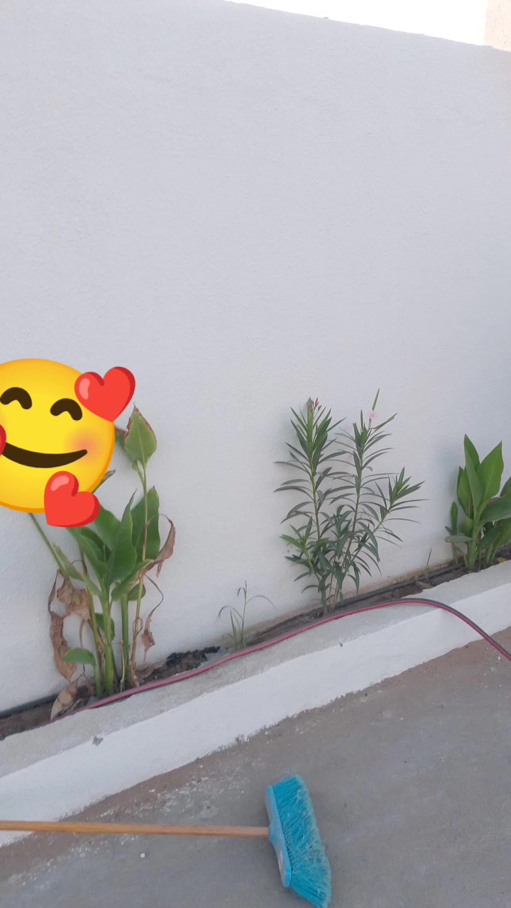 @M. Younas Bhadro