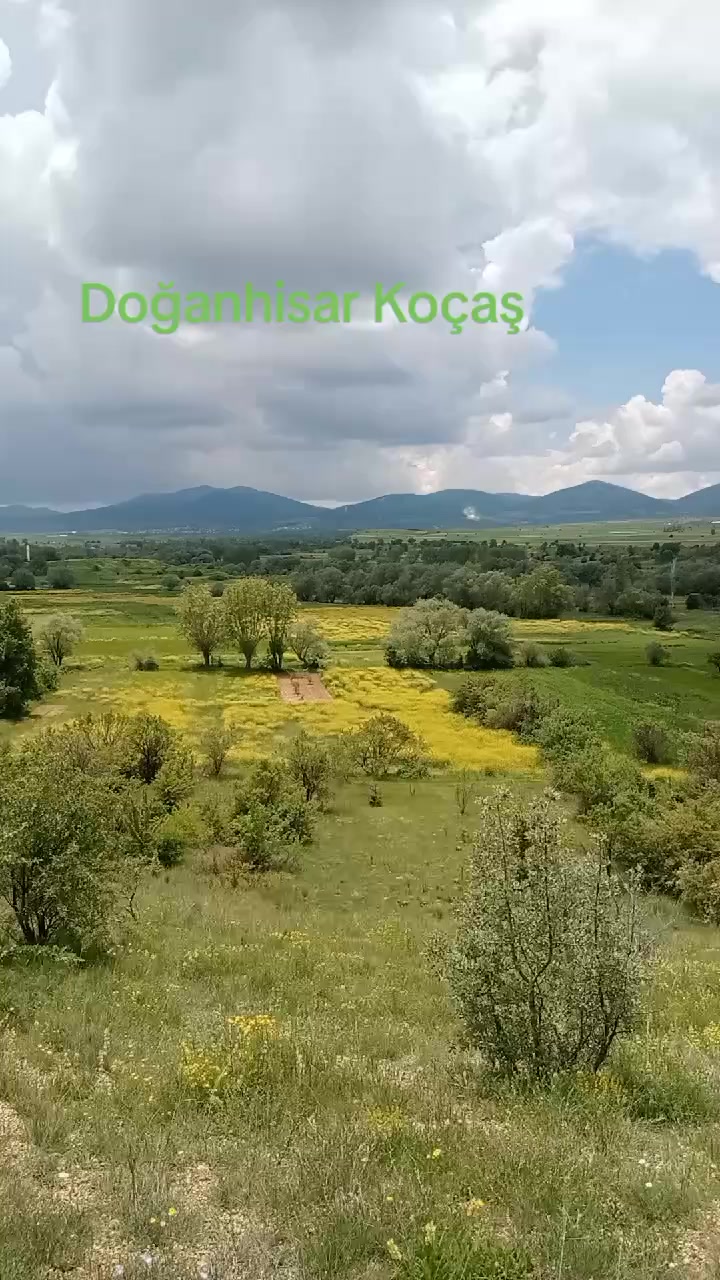 @Oguz42.07