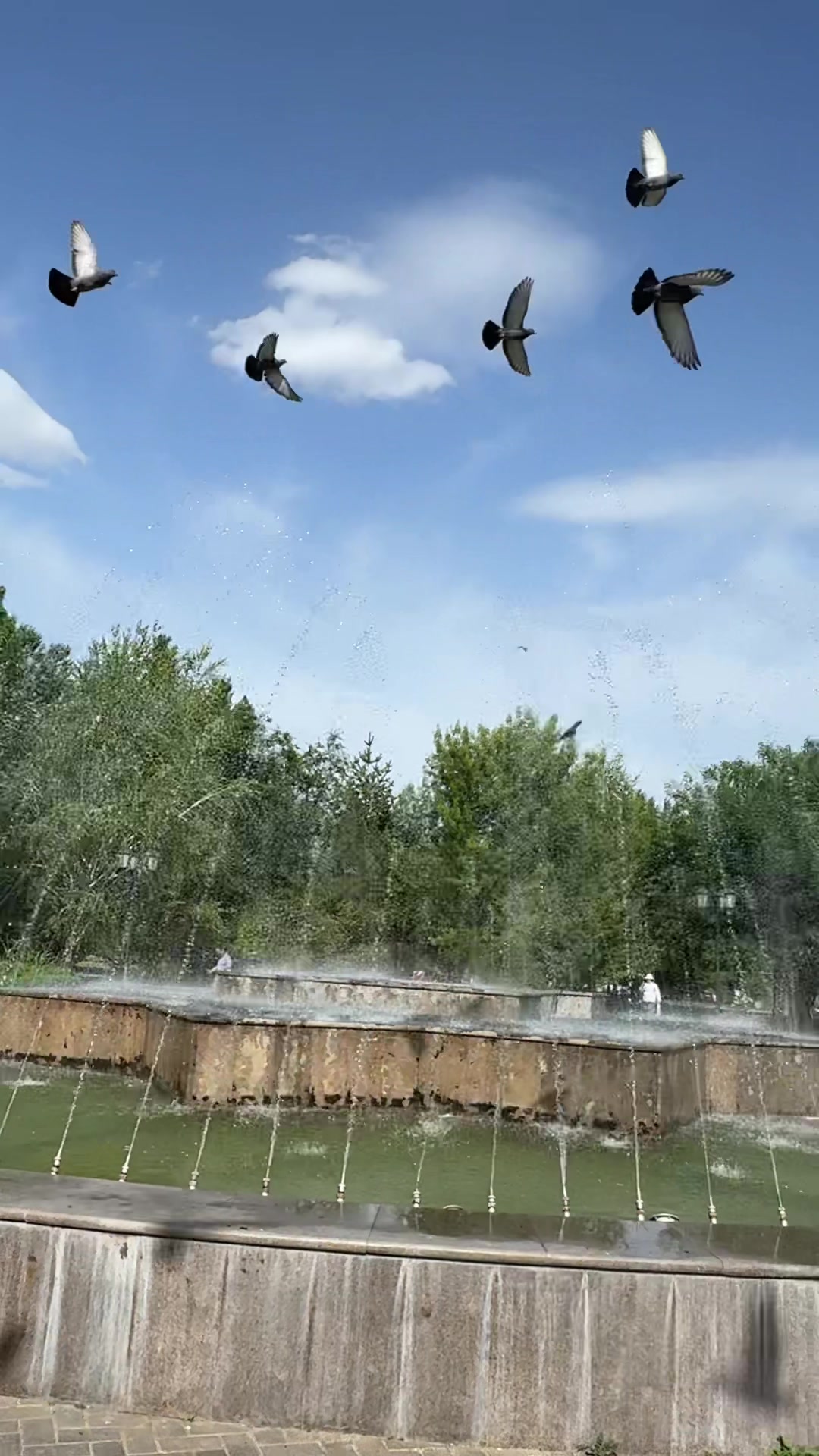 @Р.И.М