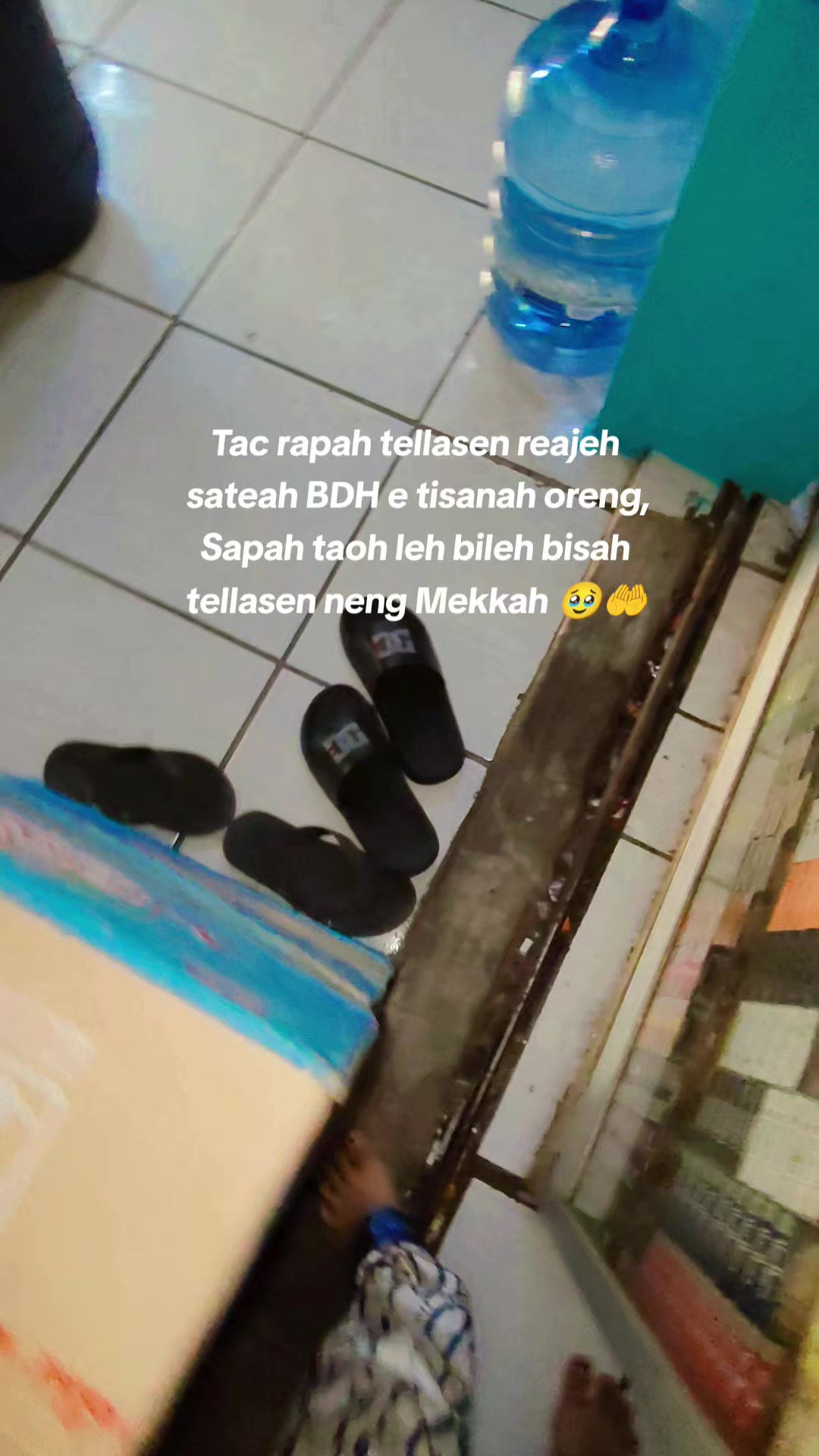 @Vanessa Angell 01