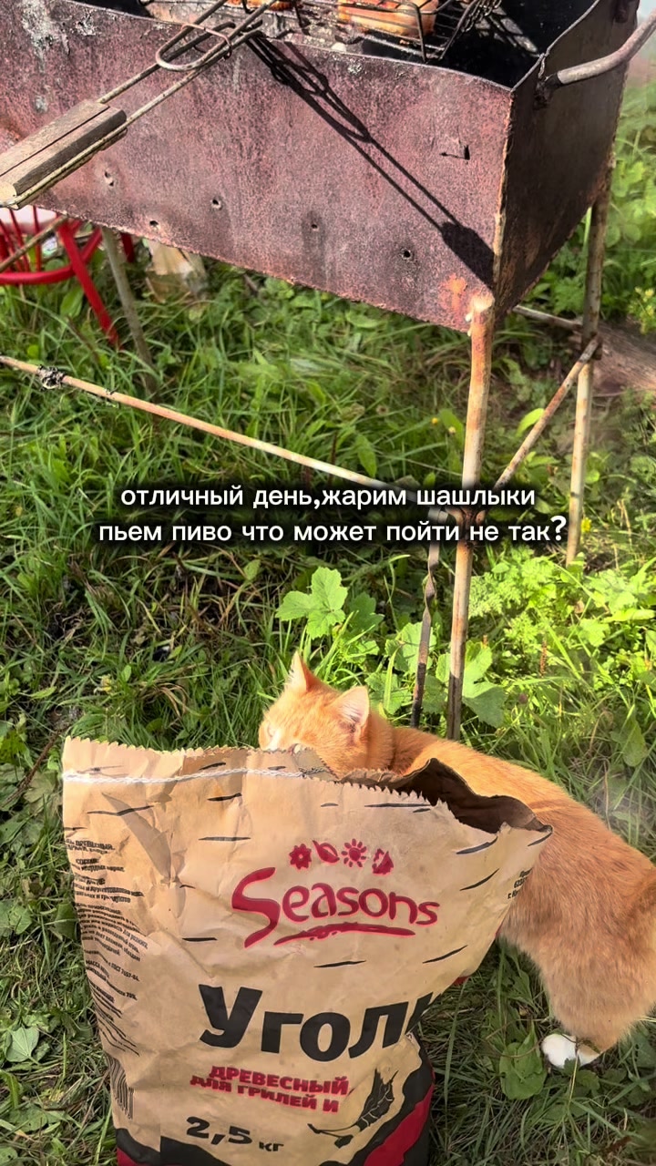 @Dasha