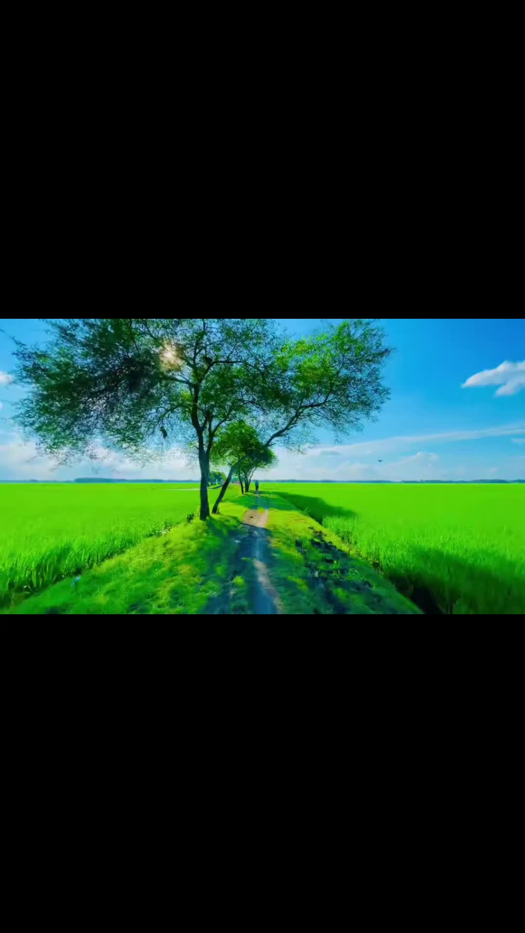 @🕊️💘, তানহা,,,,,ইসলাম,,🌸🥂🎀
