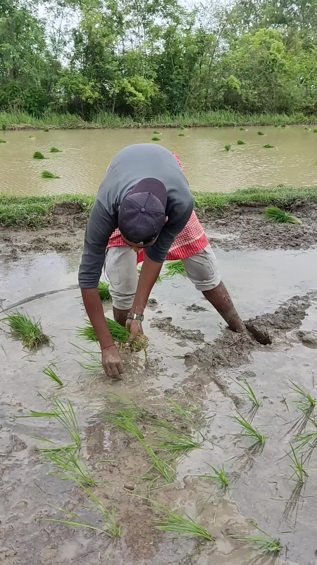 @sunilsawariya