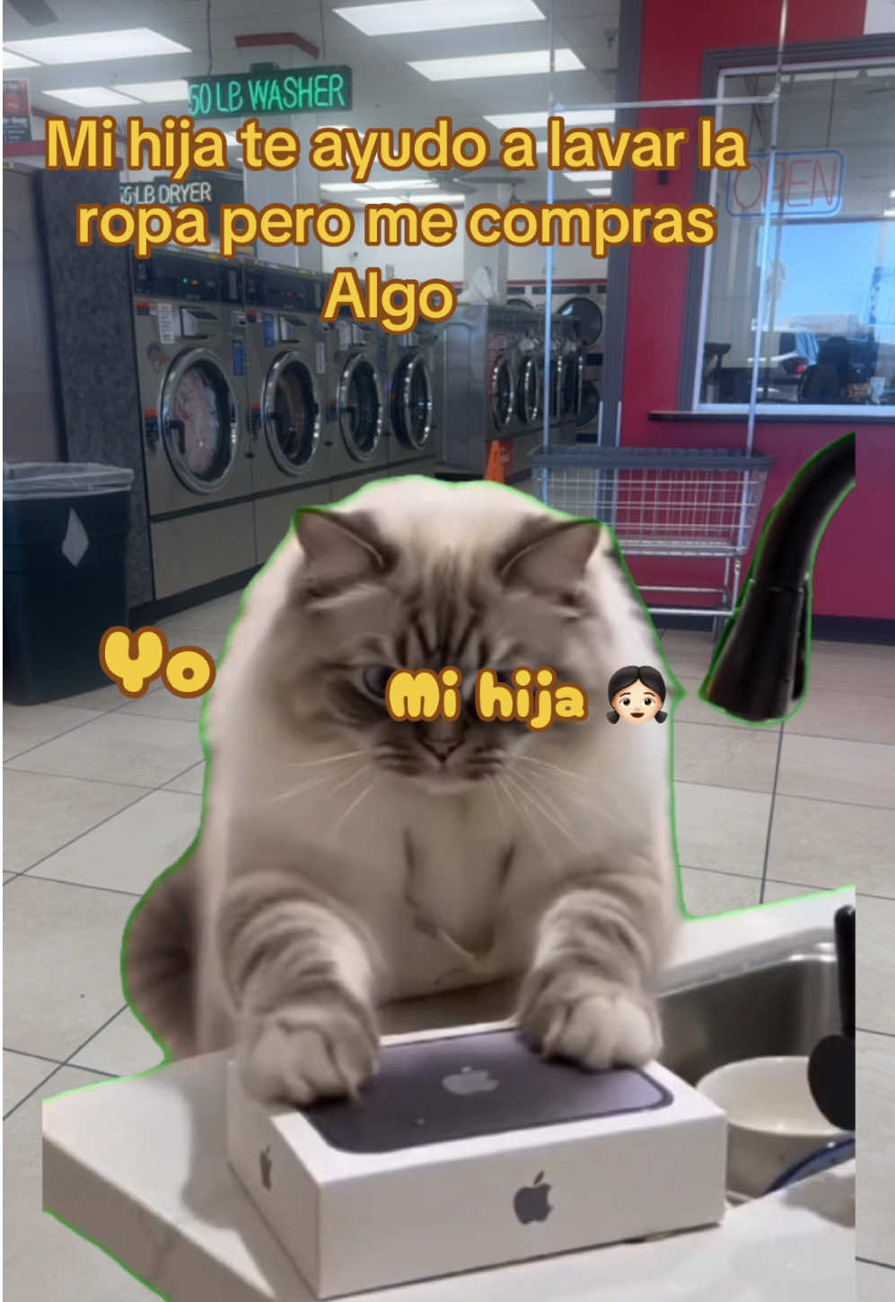 @PAULINA GUTIERREZ 🌹🍀💐🪷🥀