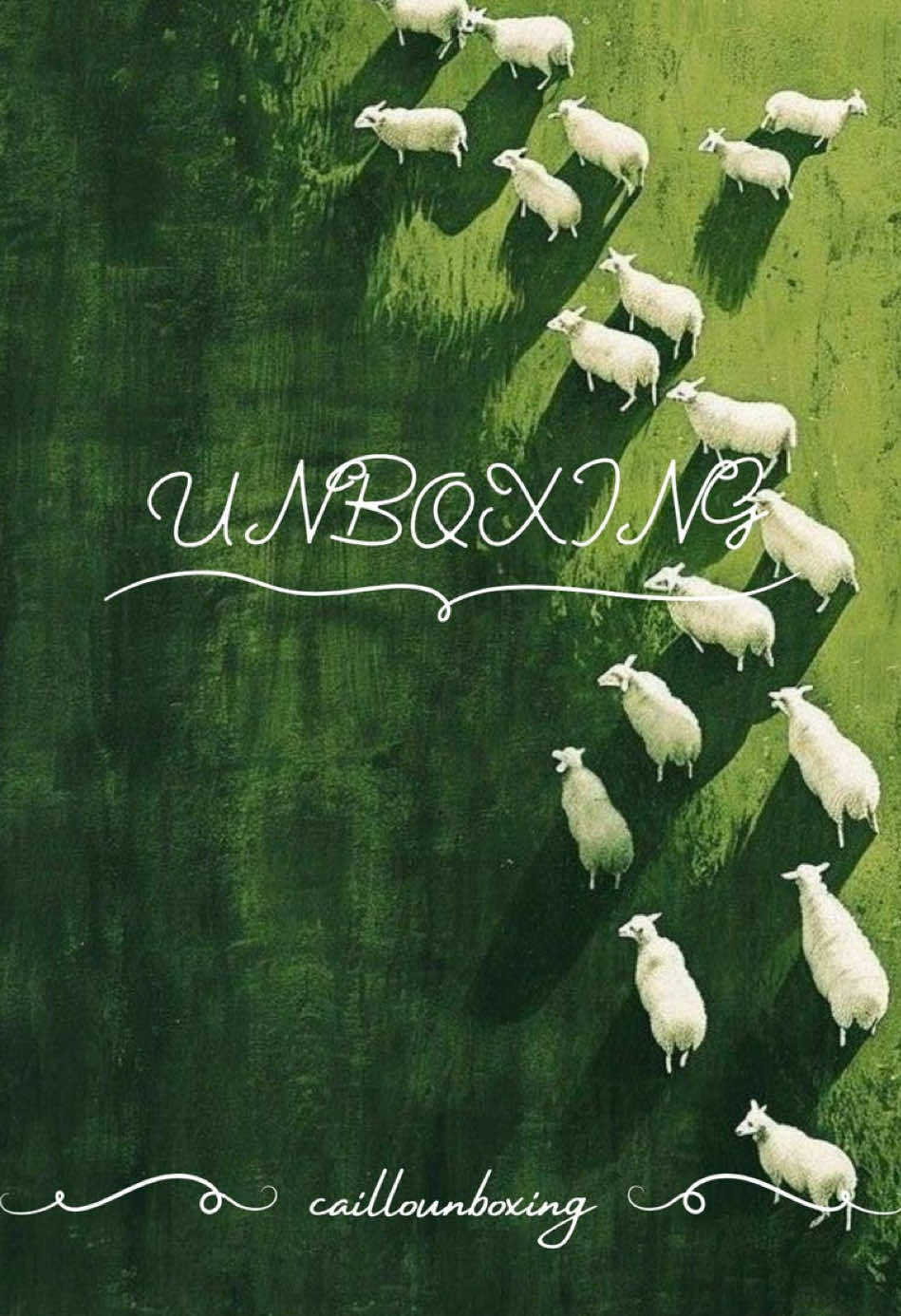 @Caillounboxing