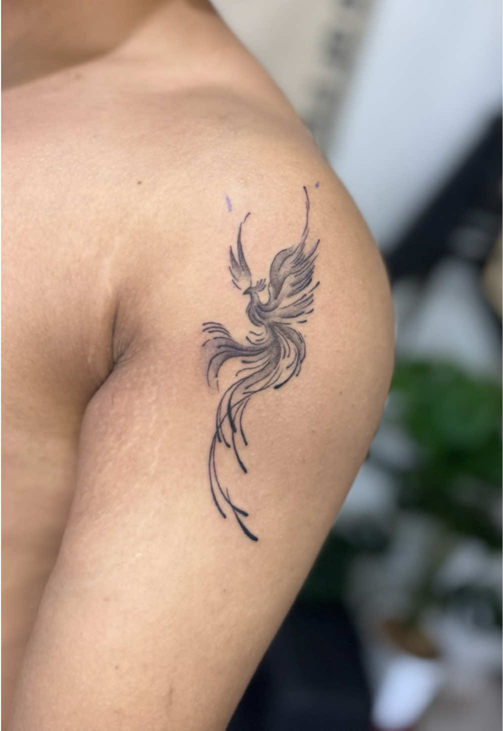 @oddin.os