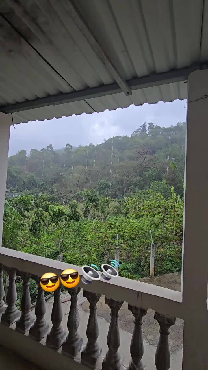 @Jeyver Martinez