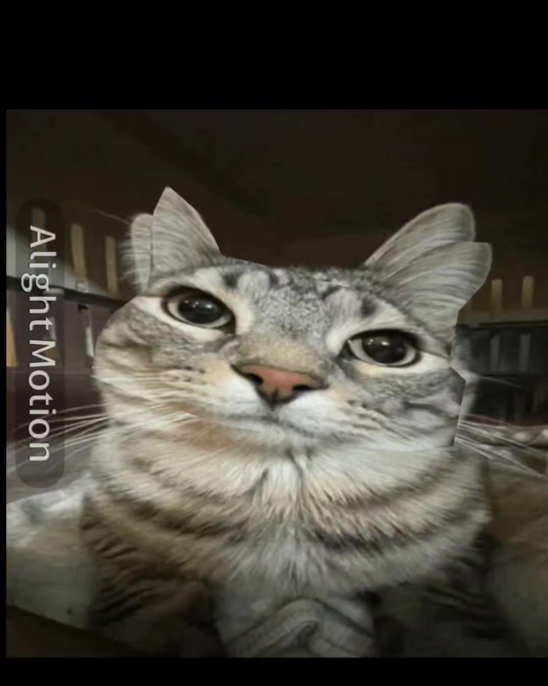 @𝓜 𝓐 𝓓 𝓡 𝓘 𝓟 𝓟 𝓘 ꧁꧂✧✟