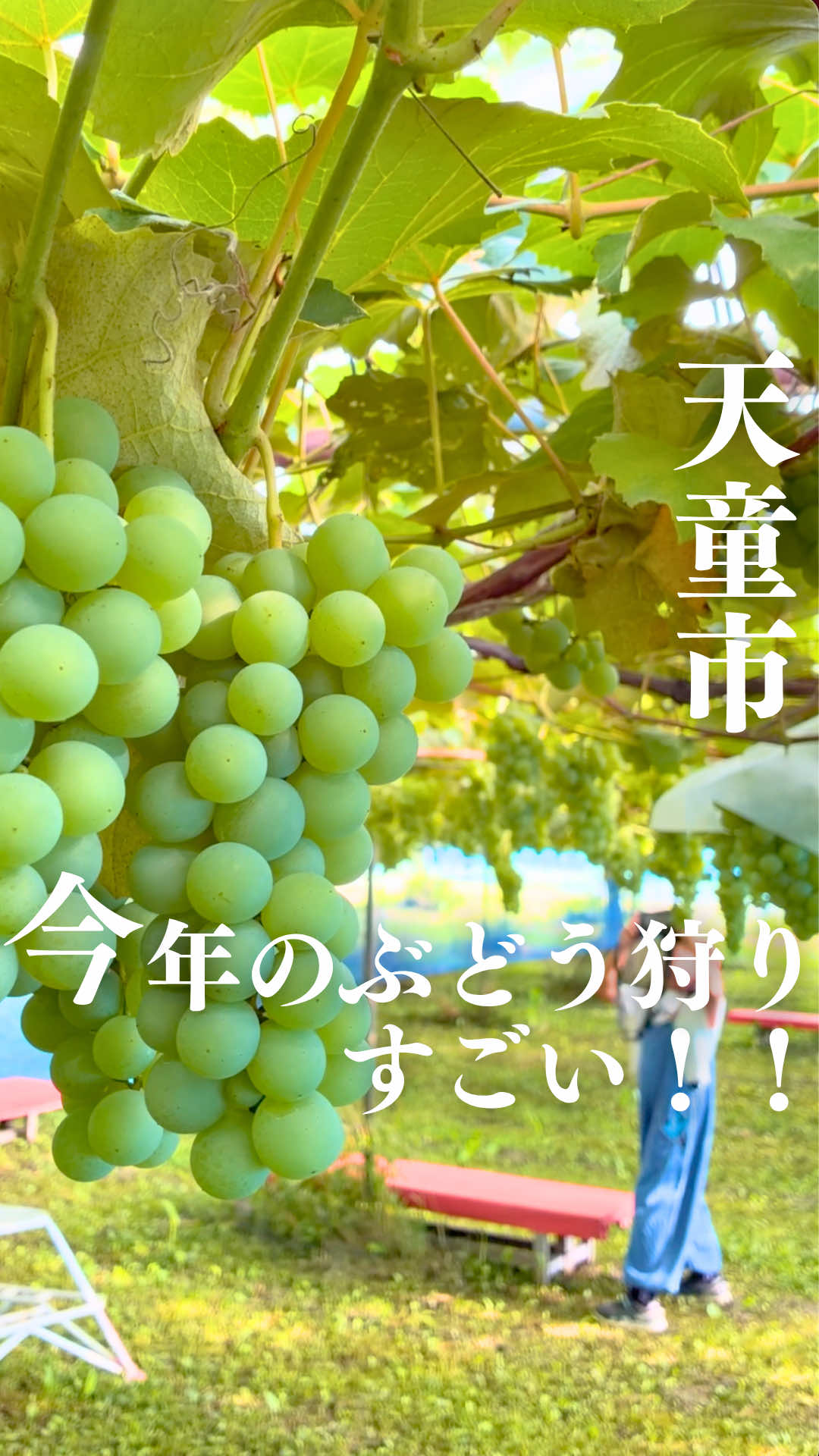 @ジジ/山形の知らない魅力を発信する人