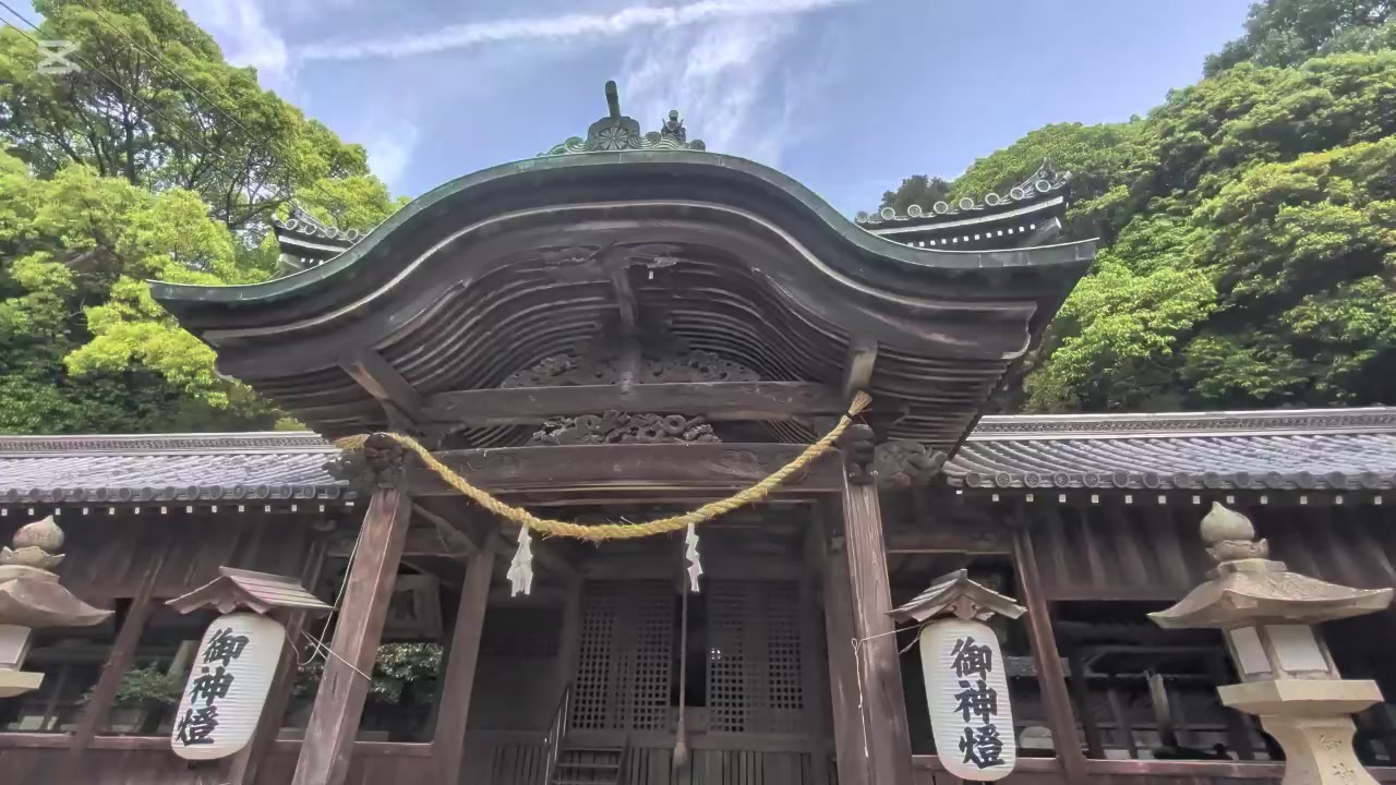 @自由人