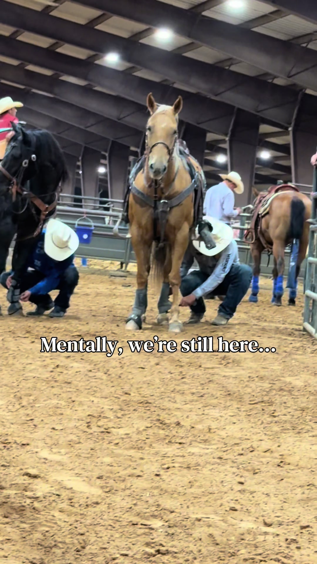 @The Team Roping Journal