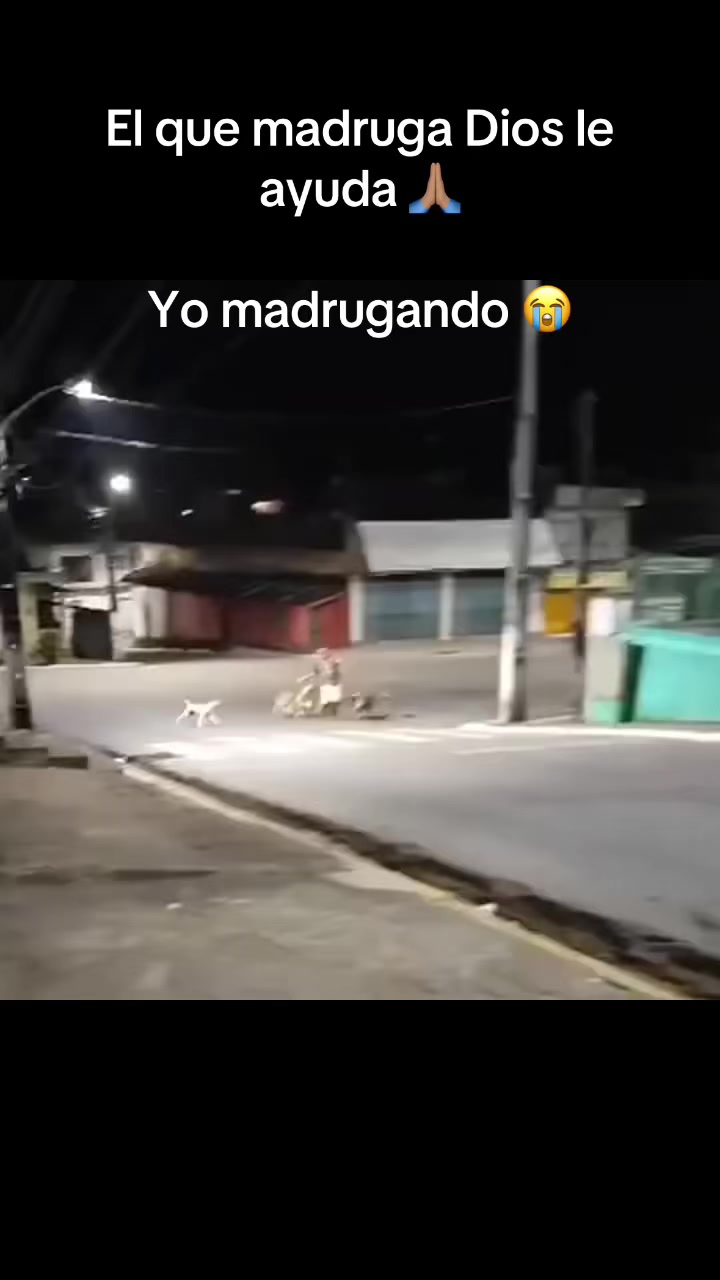 @🪷Ordasling🇻🇪🇨🇴