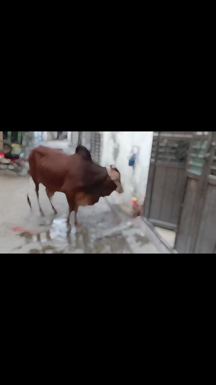 @SYED BHAI 121472