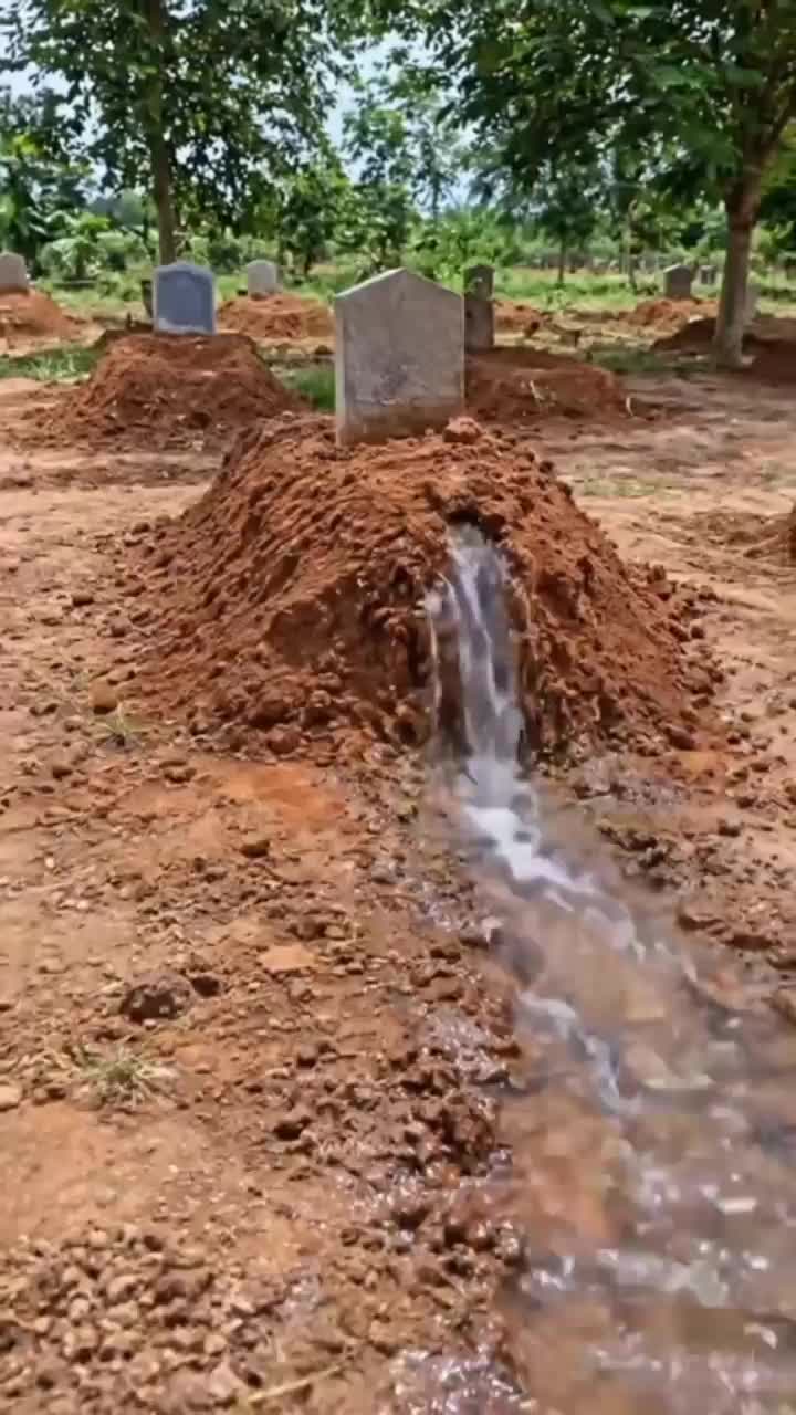 @Mahmoud Rahman