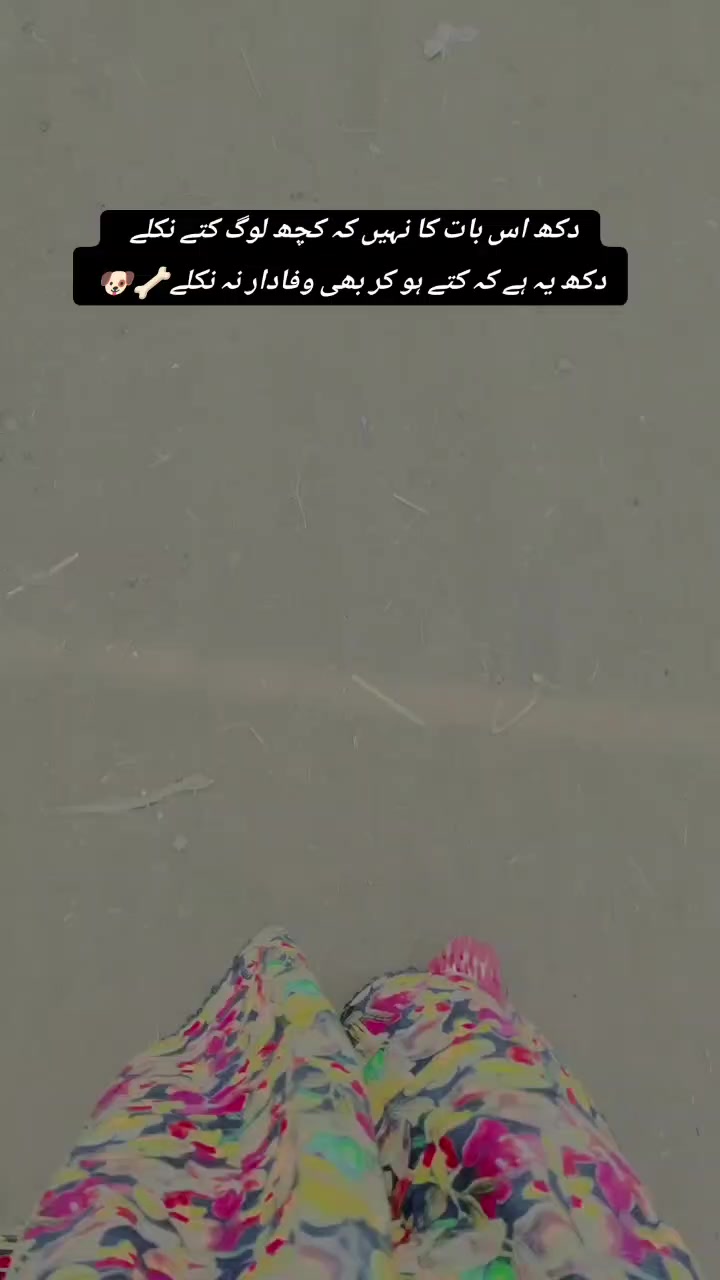 @𝓶𝓺𝓭𝓼𝓱𝓺𝓵🕊️🐼