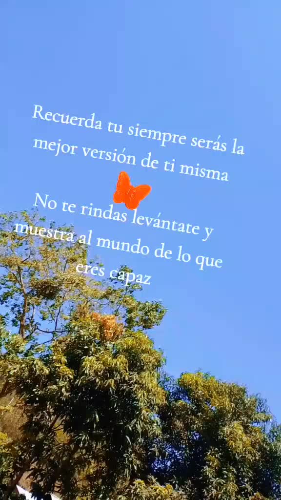 @Yoly Pz