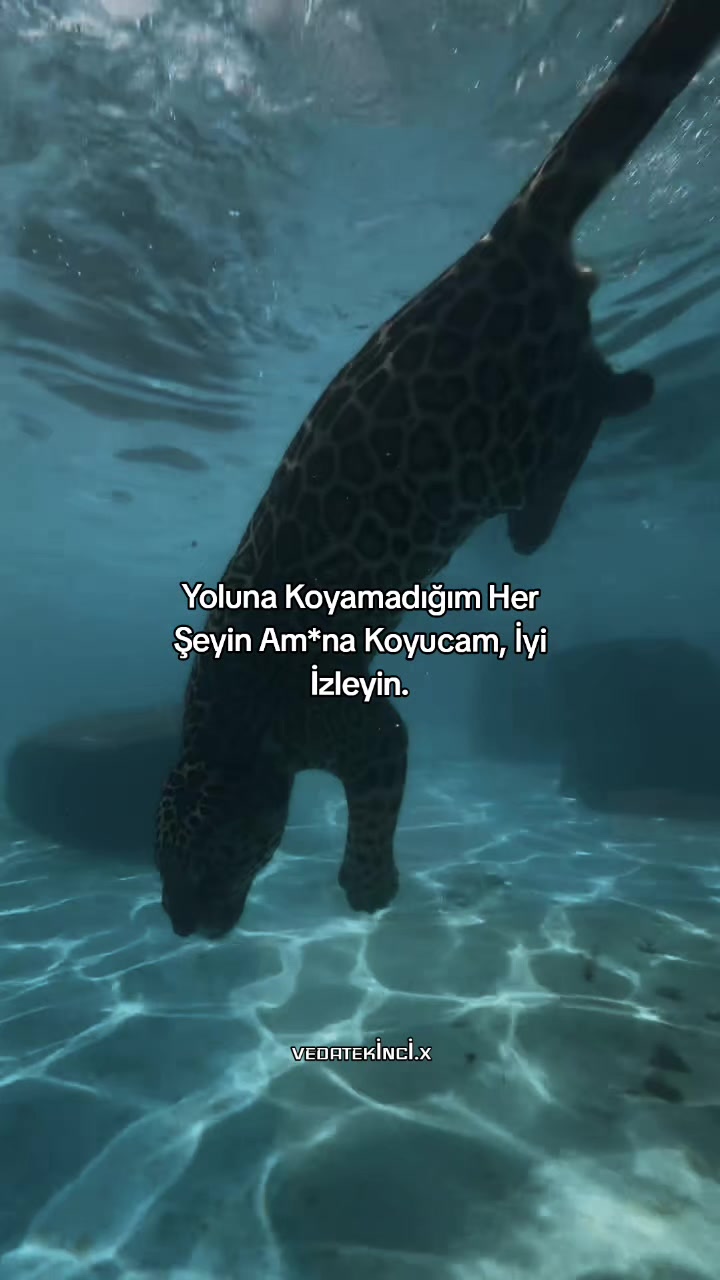 @VEDAT EKİNCİ