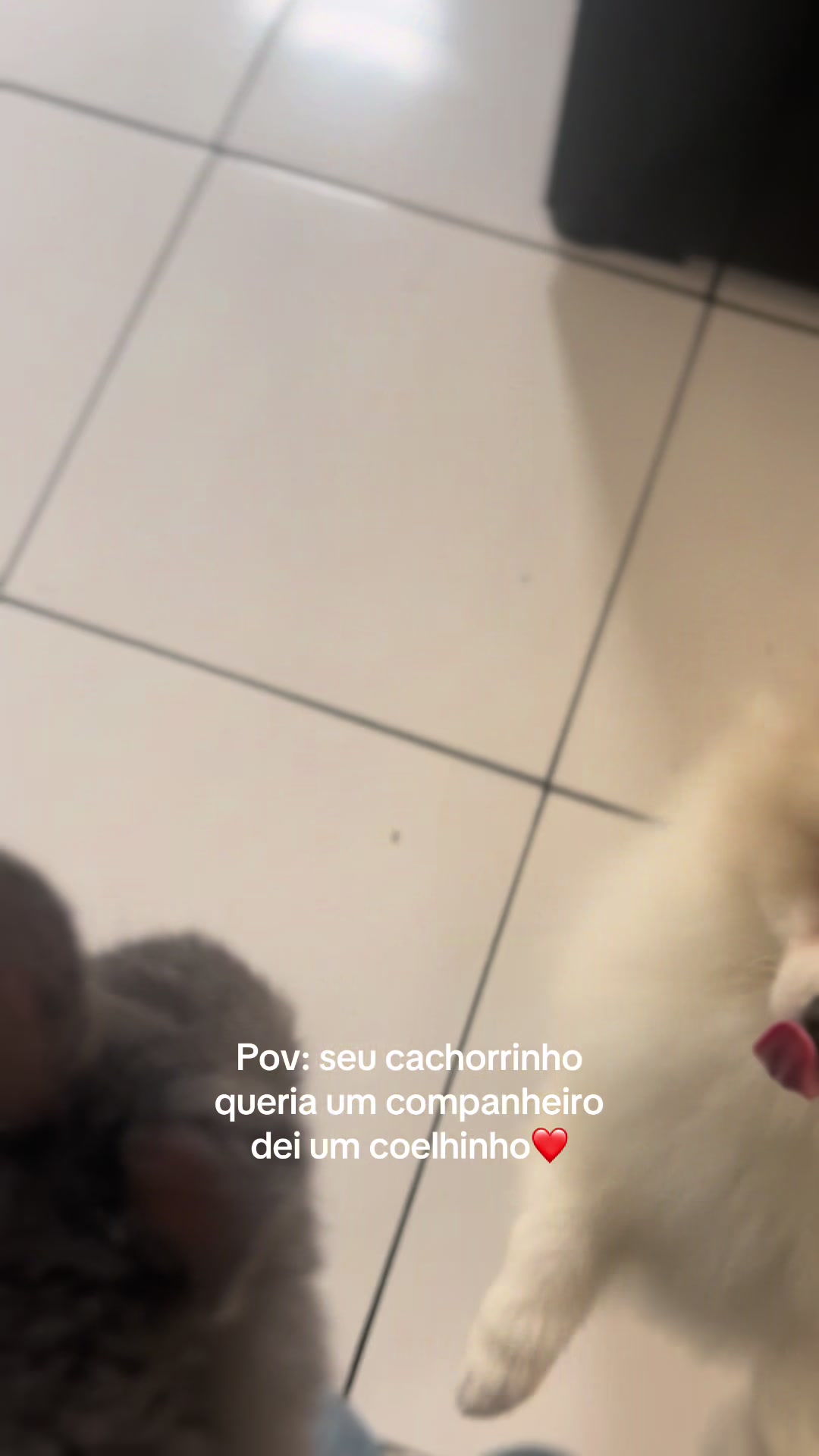 @Yaya_lsouza