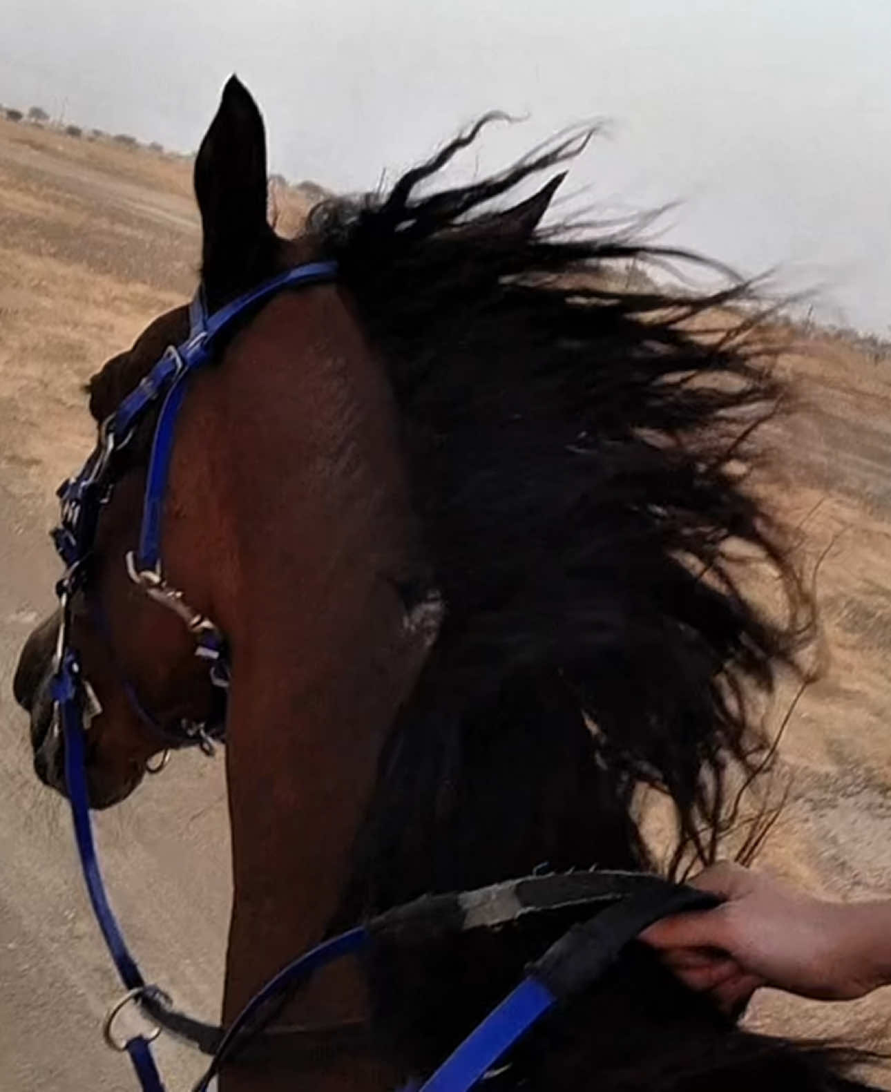 @🐎 Eman Thani 🏍️