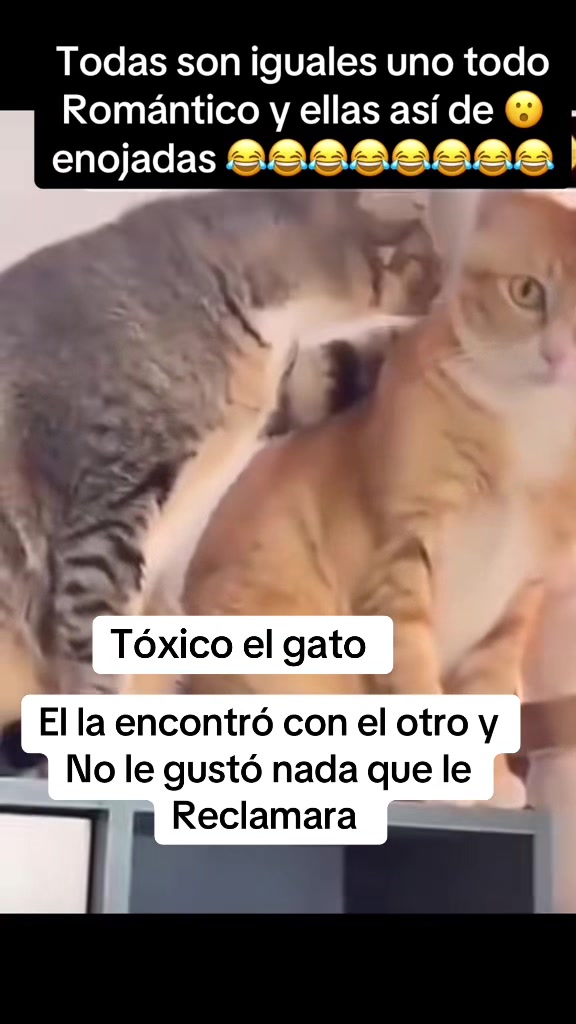 @Rodriguez