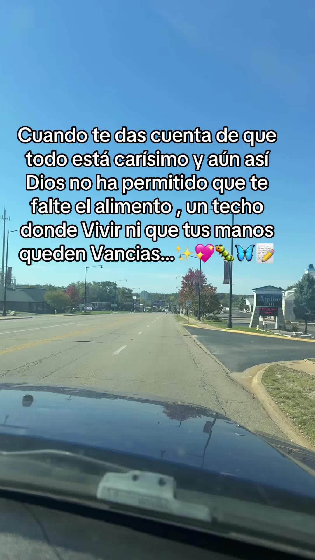 @🌼🌸La Osita 🌸🌼