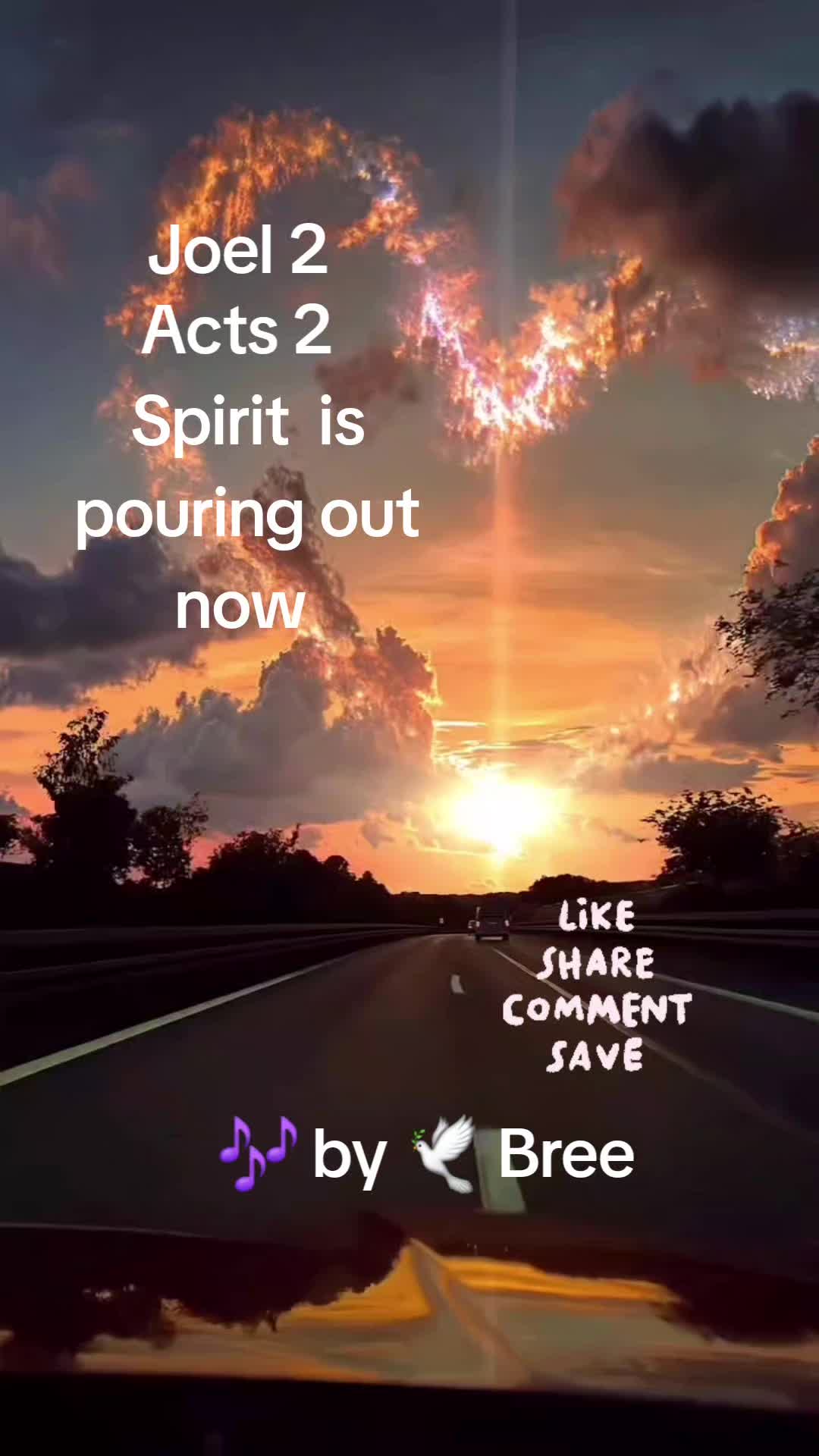 @🕊Bree🤍