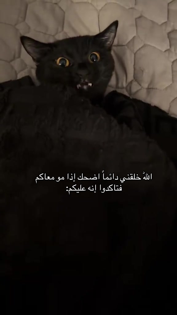 @رَهينة 💛