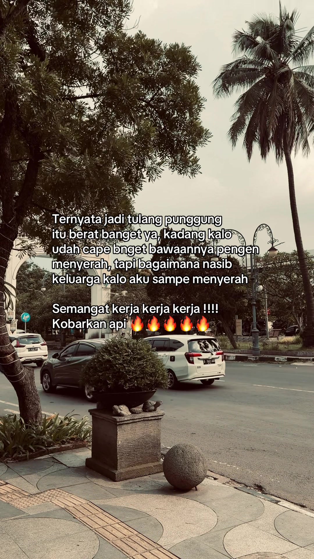 @sayforhagordb_1