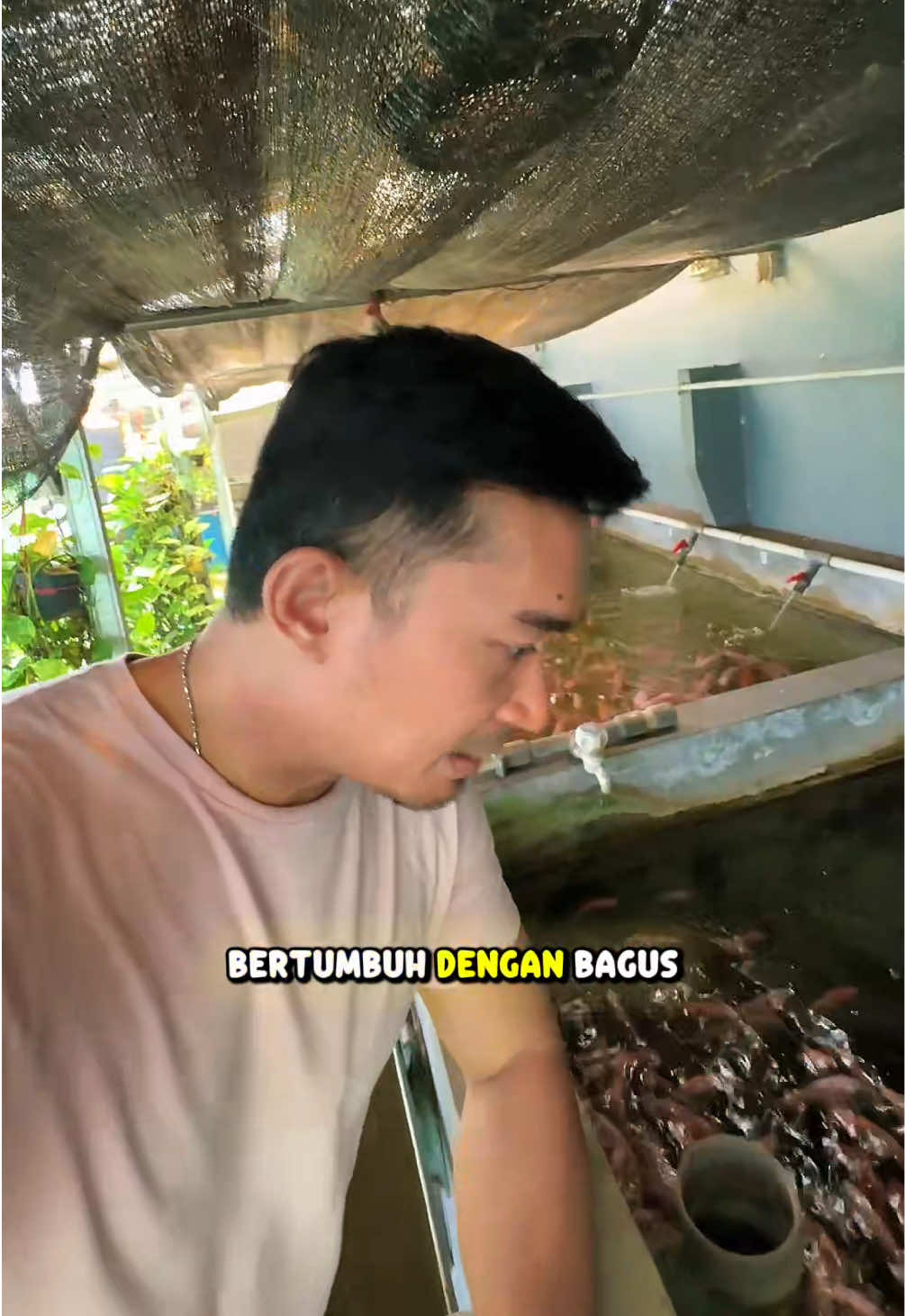 @NilaKu ID