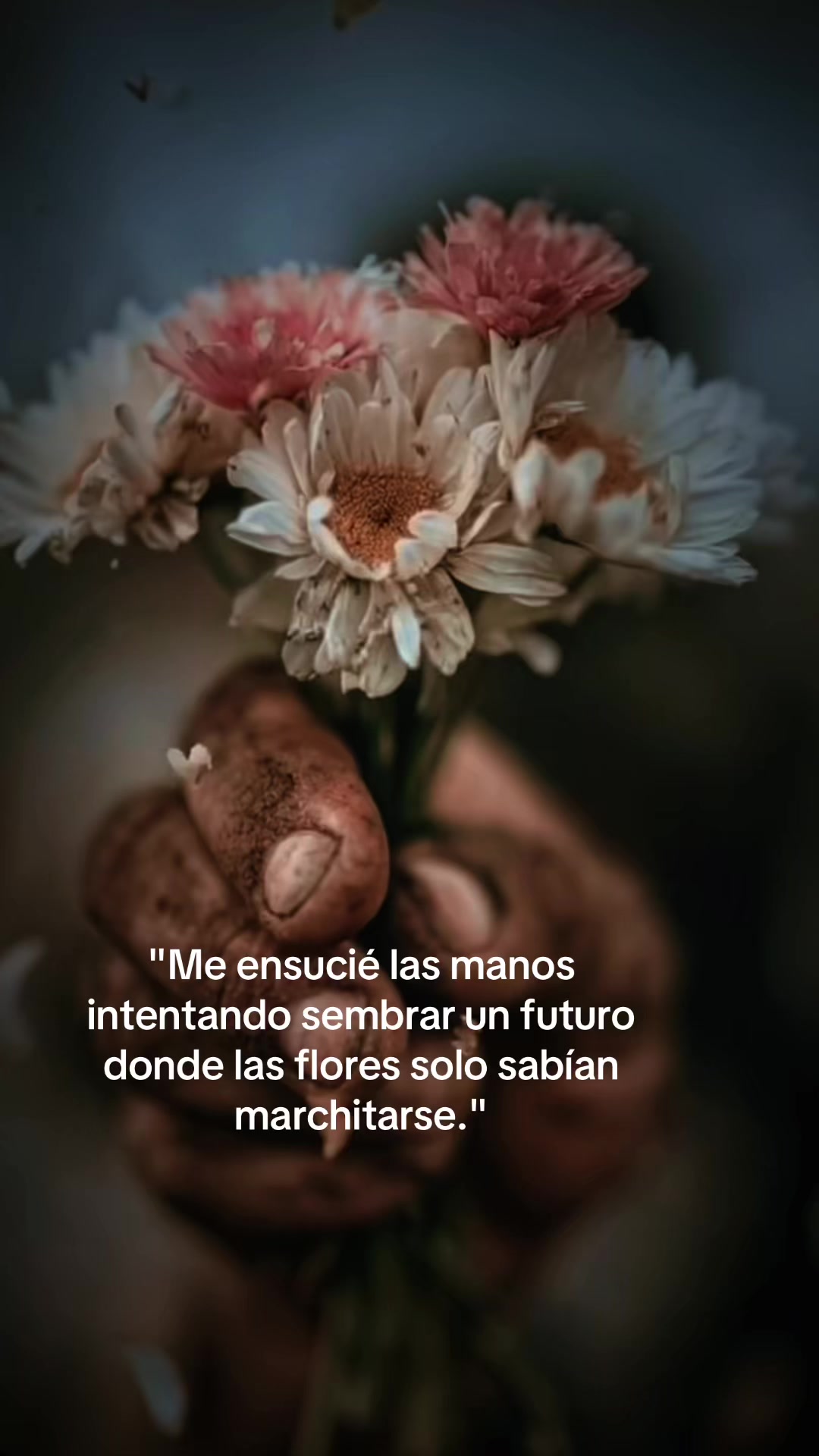 @Claudia