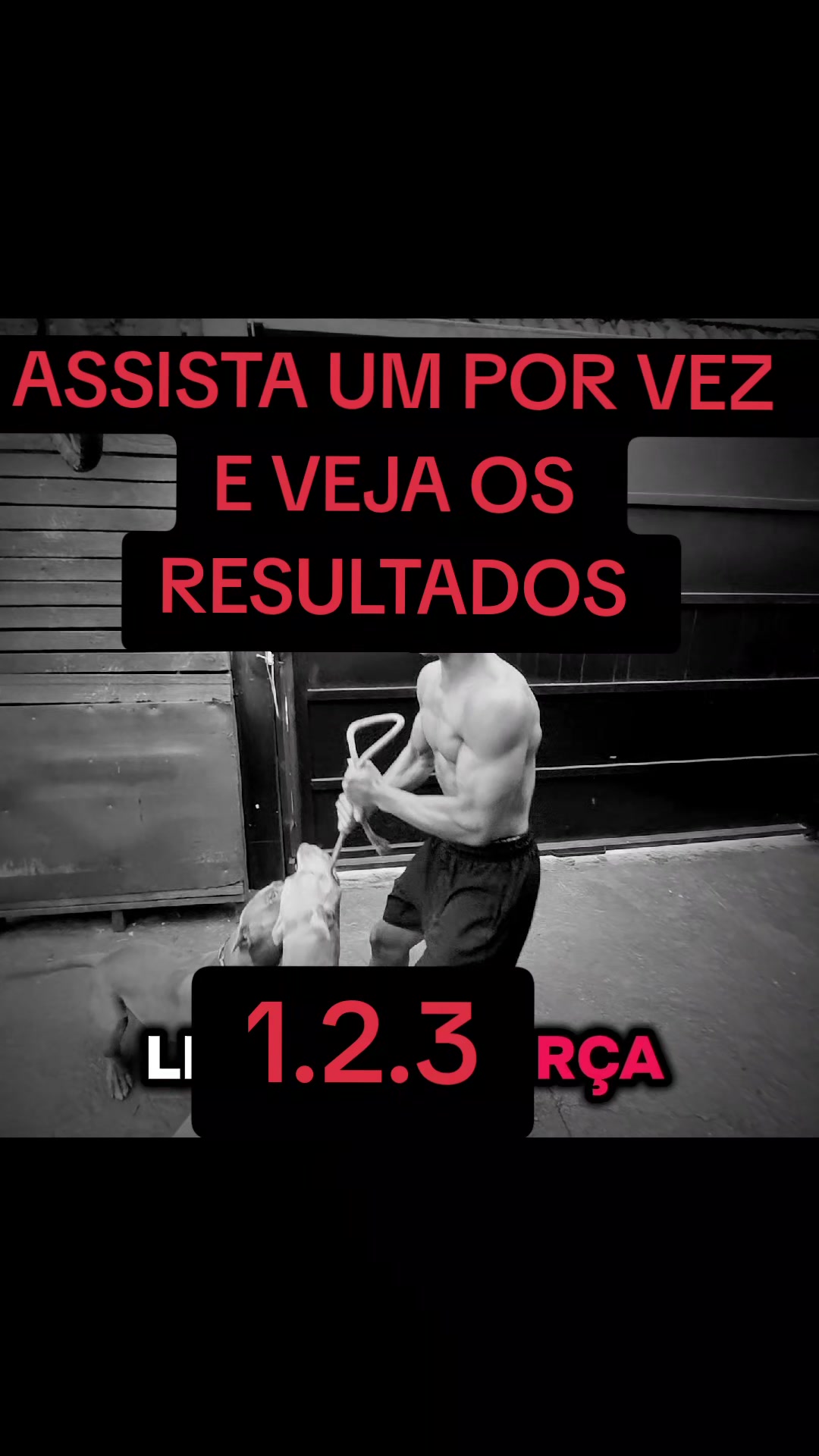 @cachorro de pobre