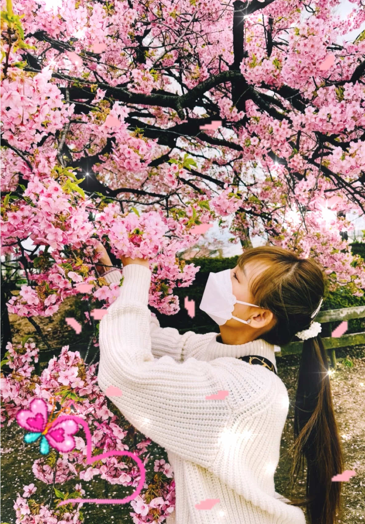 @🍀李盼盼🍀