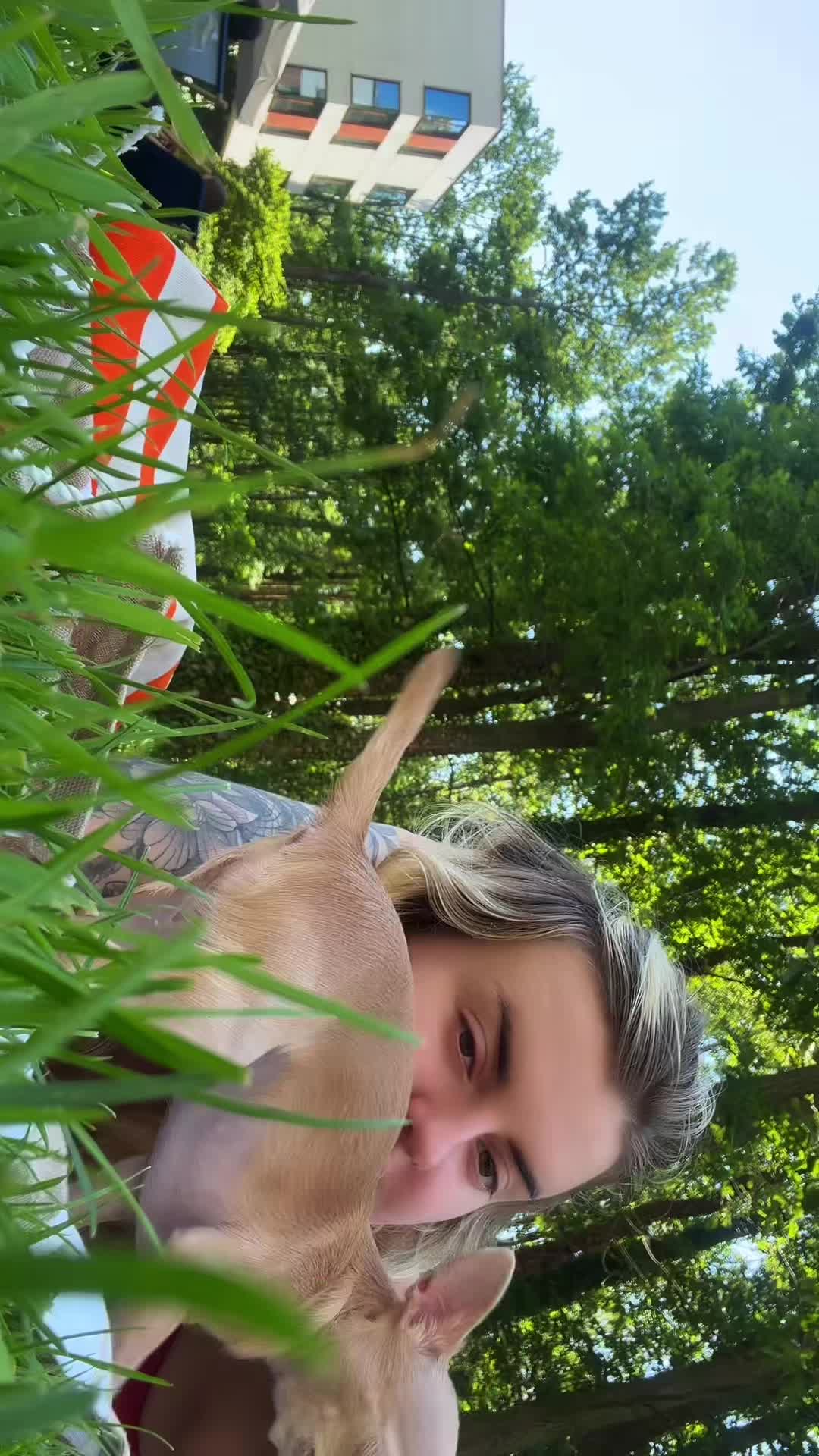 @Vlada