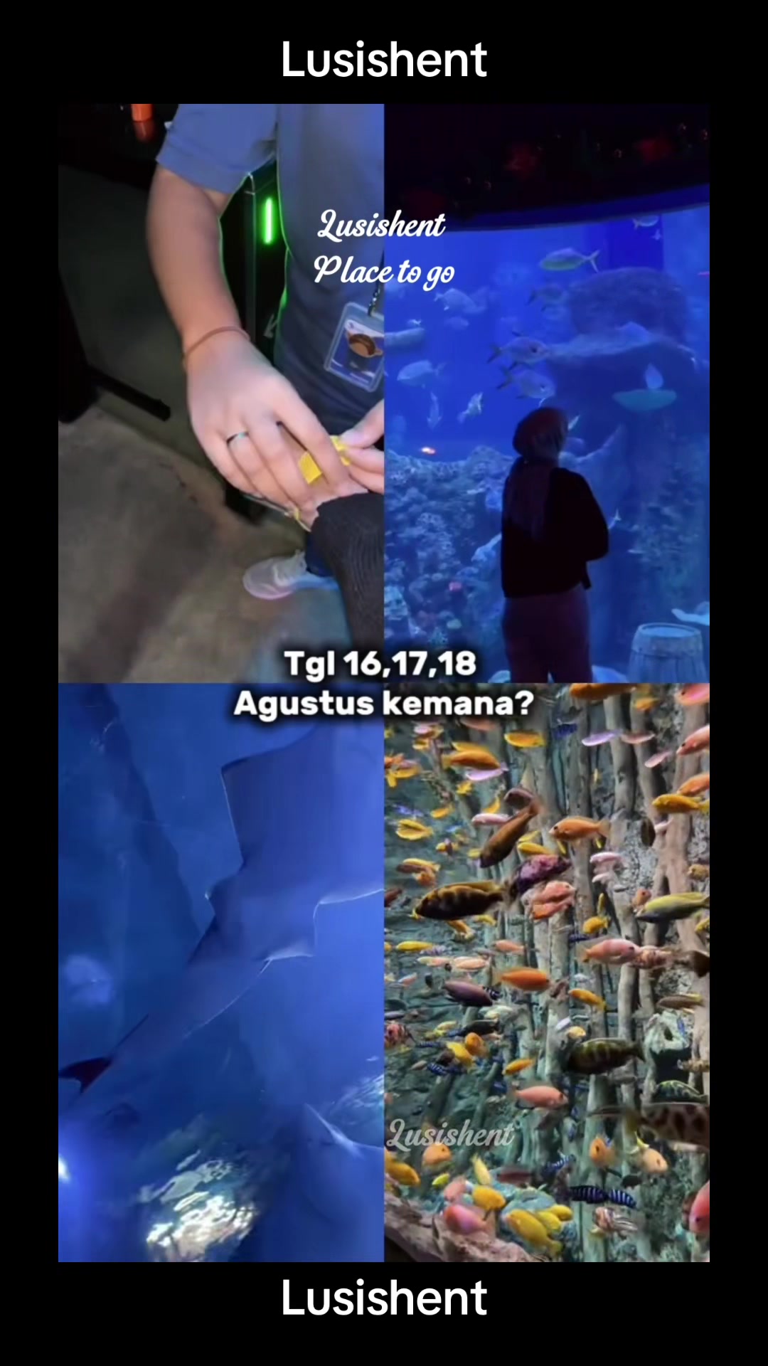 @your dinosaurs