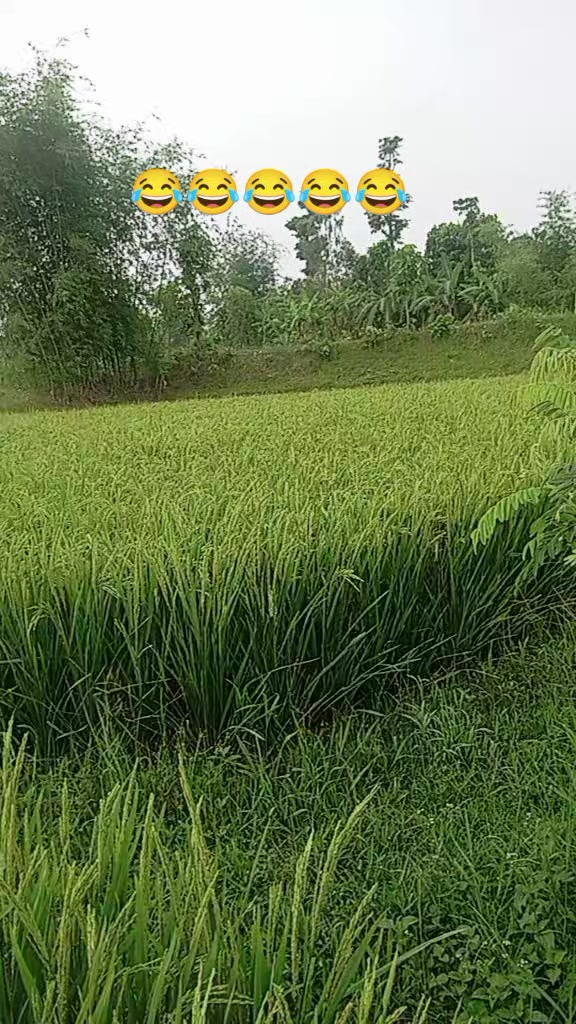 @Smita rai