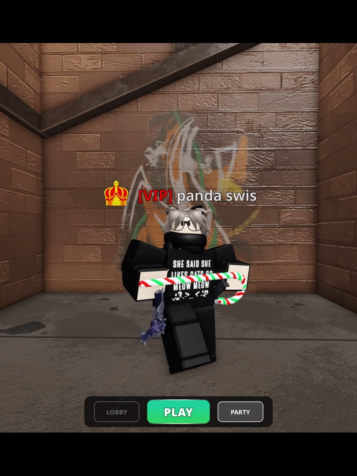 @swisjames