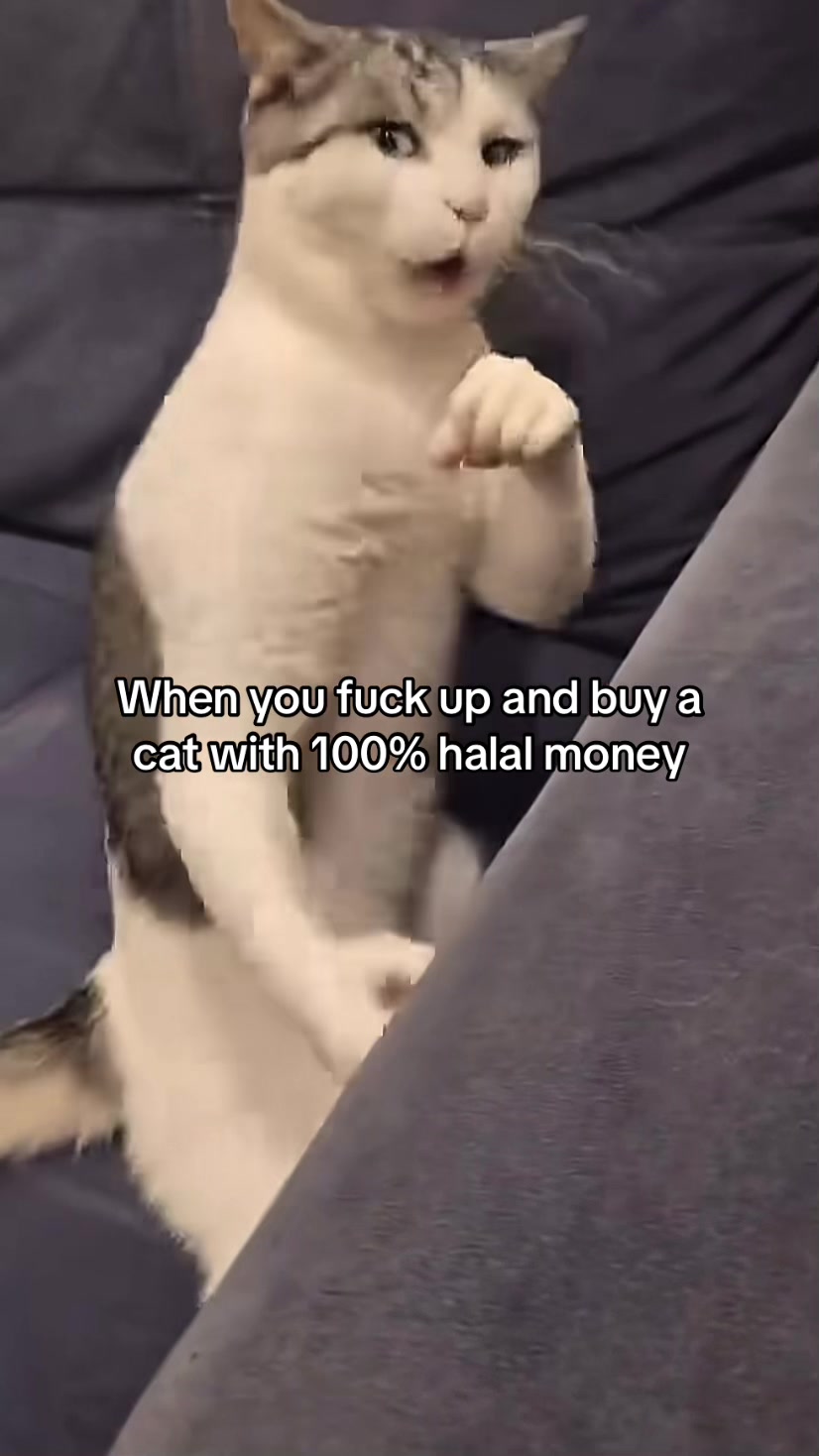 @zuntzzimmerman