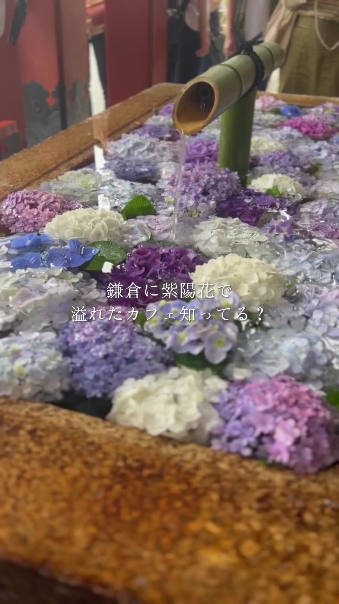@【鎌倉カフェ】DRESSY CAFE KAMAKURA