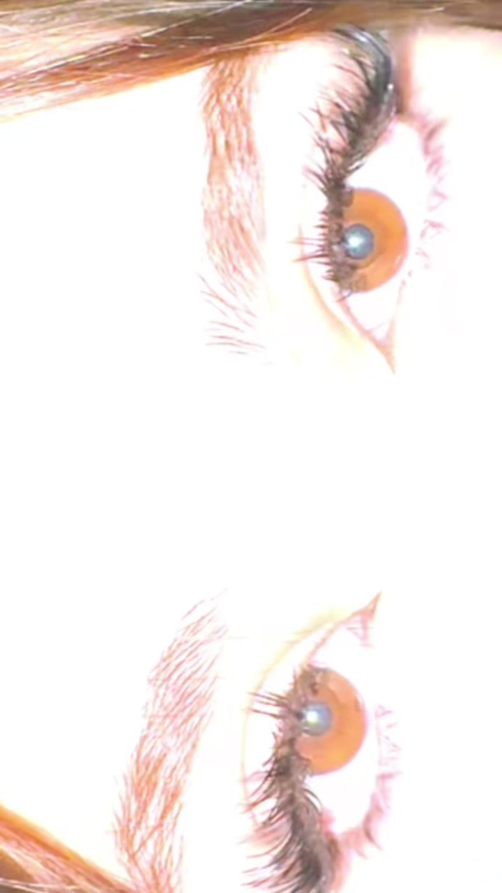 @P L U X U R Y